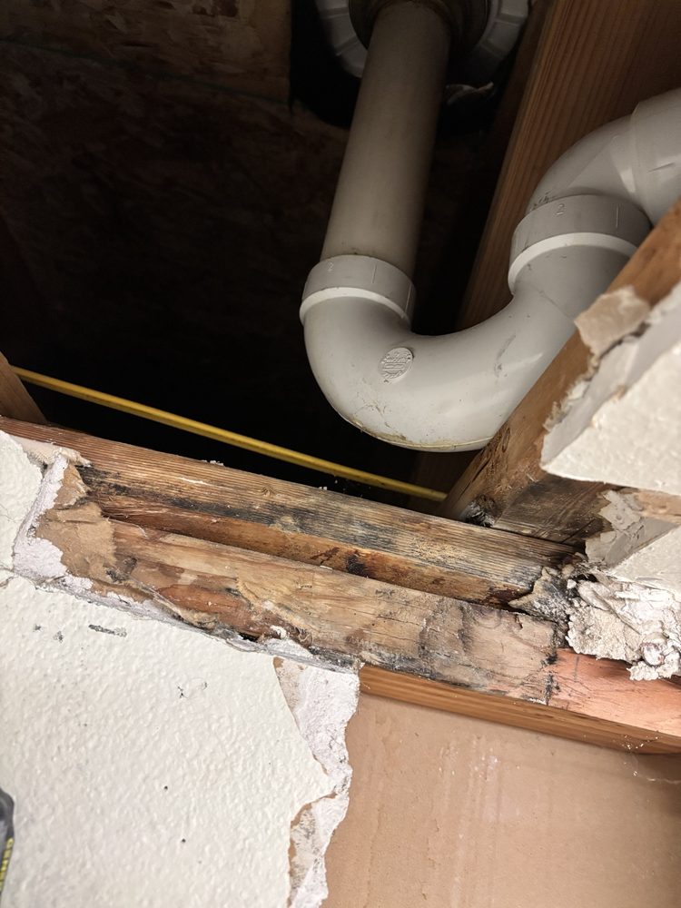 Opened ceiling next to the drain lines, showing mold-stained framing before cleaning