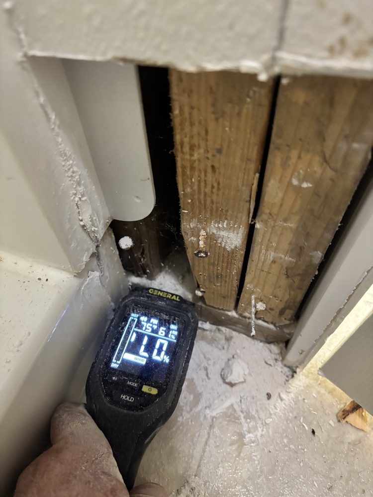 Exposed wall framing being checked with a moisture meter after the drywall came out